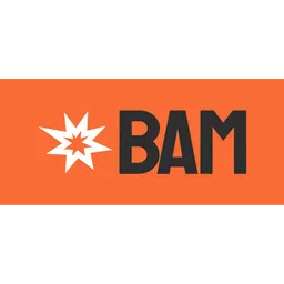 BAM Labs logo